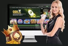 166 win bet 166 win bet